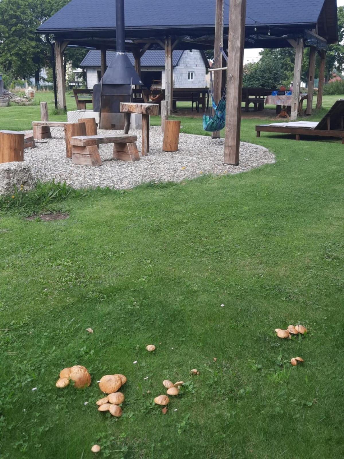 Harcowka Villa Złoty Stok Kültér fotó